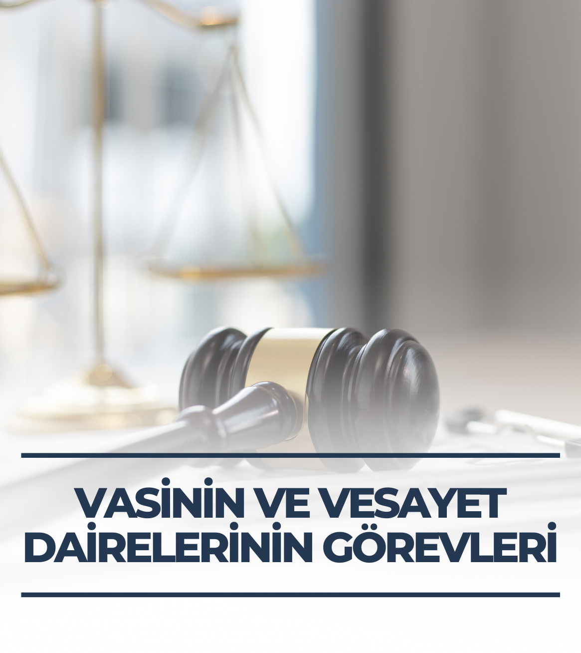 Vasinin ve Vesayet Dairelerinin Görevleri